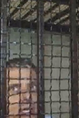 Правозахисники просять Порошенка допомогти українцю, який може померти у в’язниці Єгипту