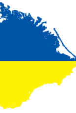 Звернення правозахисників щодо проекту закону “Про внесення змін до Закону України “Про громадянство України” щодо удосконалення окремих положень”