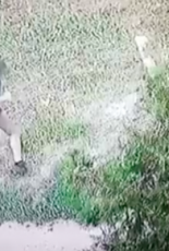 Who is ordering attacks on activists in Ukraine?