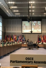 РФ відмовилась від участі в зустрічі органу ОБСЄ під оплески українців