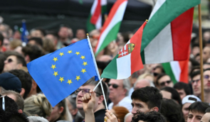 We call for immediate interim measures against Hungary’s “Transparency of Public Life” bill
