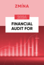Financial audit for 2024