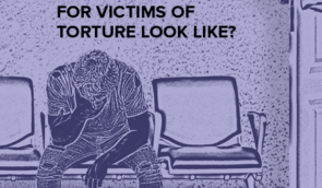 Analytical note: “What should a support system for victims of torture look like?”